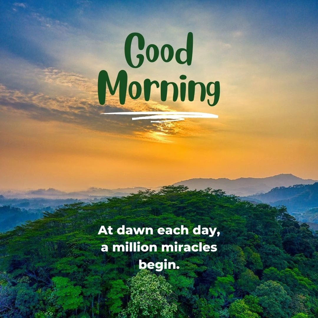 80+ Good morning images free to download 52